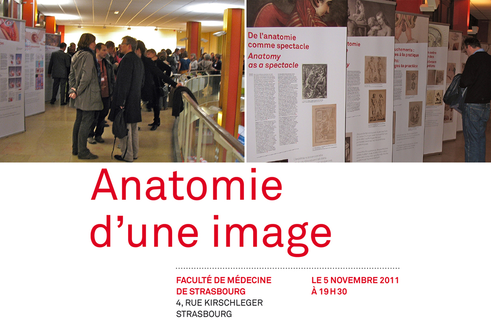 anatomieduneimage_a14