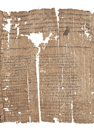 papyrus3