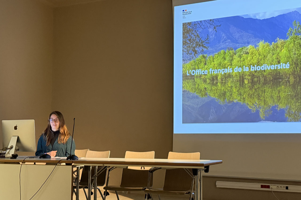 alice_duquesnoy-mitjavila-1