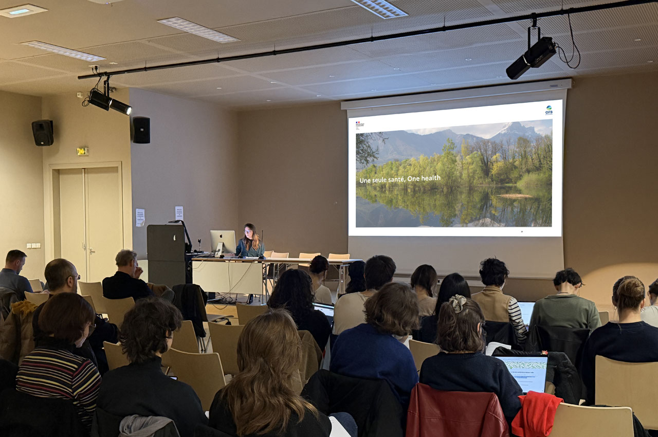 alice_duquesnoy-mitjavila-2