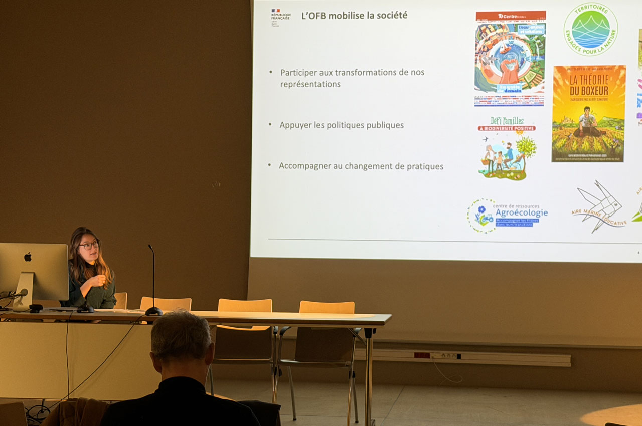 alice_duquesnoy-mitjavila-3