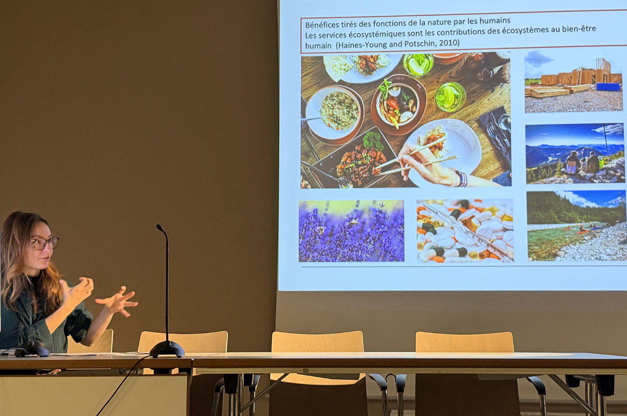 alice_duquesnoy-mitjavila-4