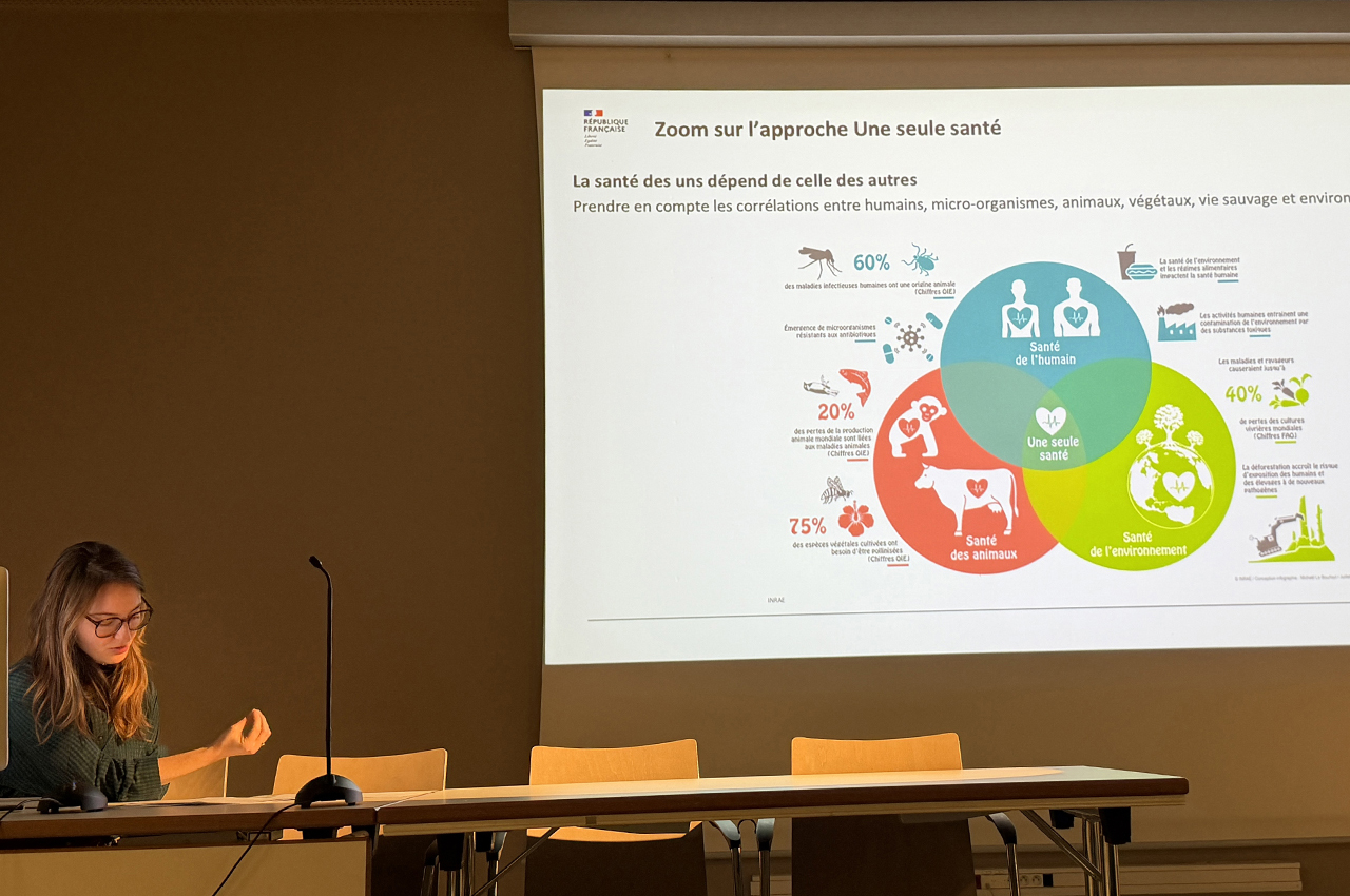 alice_duquesnoy-mitjavila-5