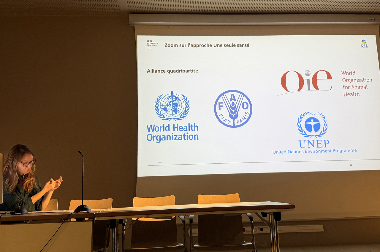 alice_duquesnoy-mitjavila-6