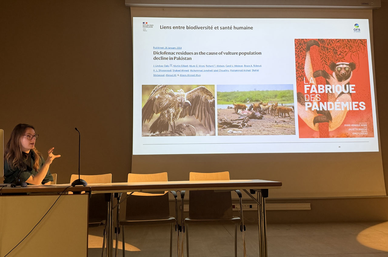 alice_duquesnoy-mitjavila-7