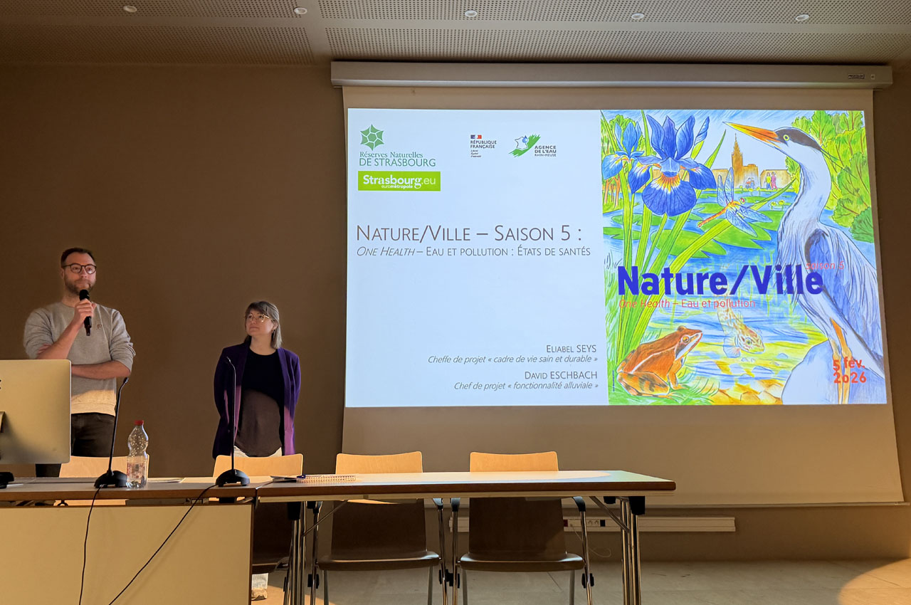 eliabel_seys_david_eschbach-1