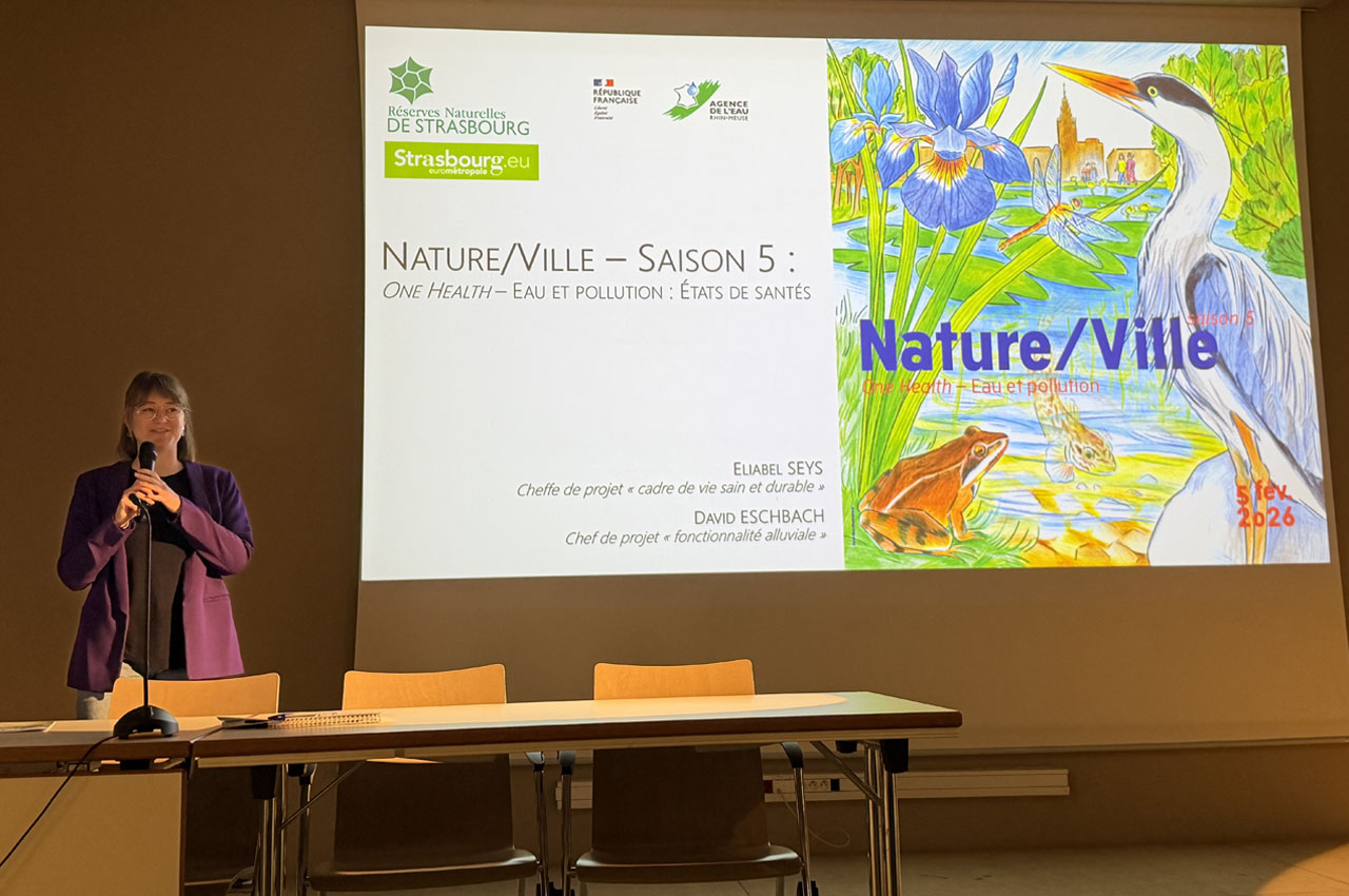 eliabel_seys_david_eschbach-3