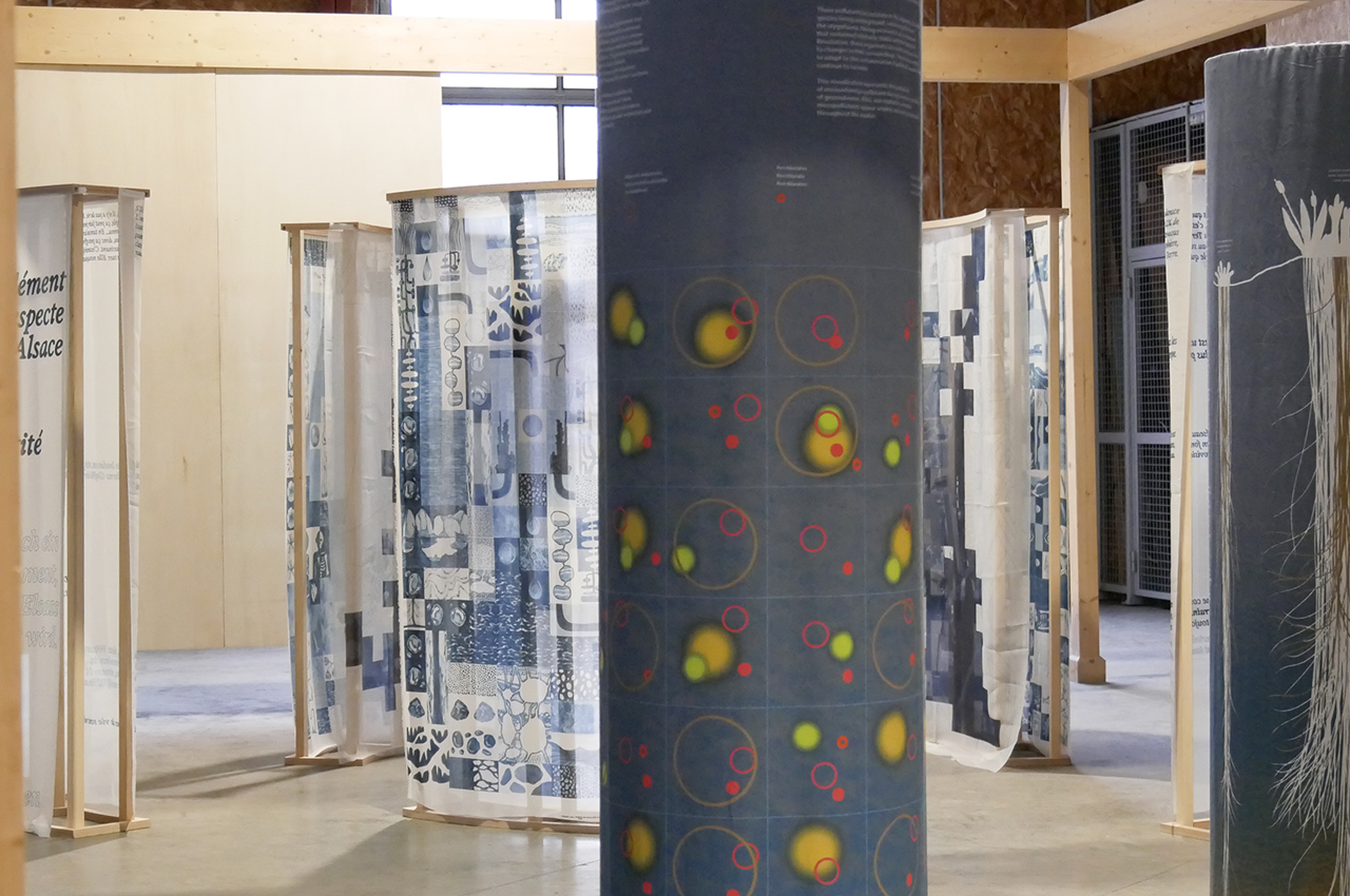 expo_surface_04