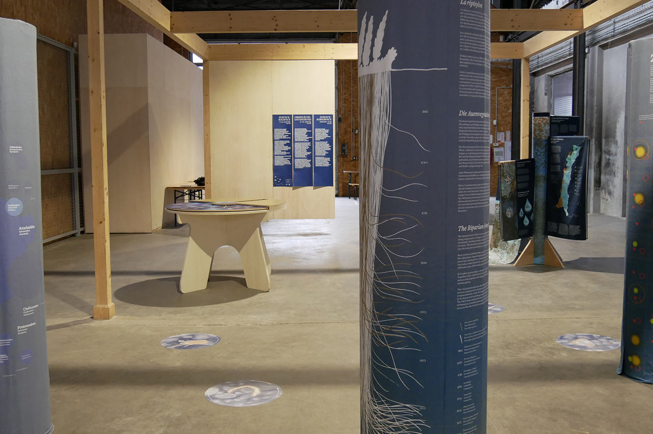 expo_surface_05
