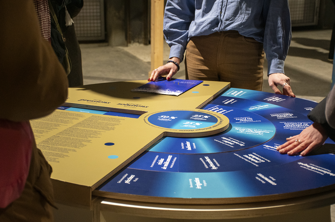 vernissage_surface_11