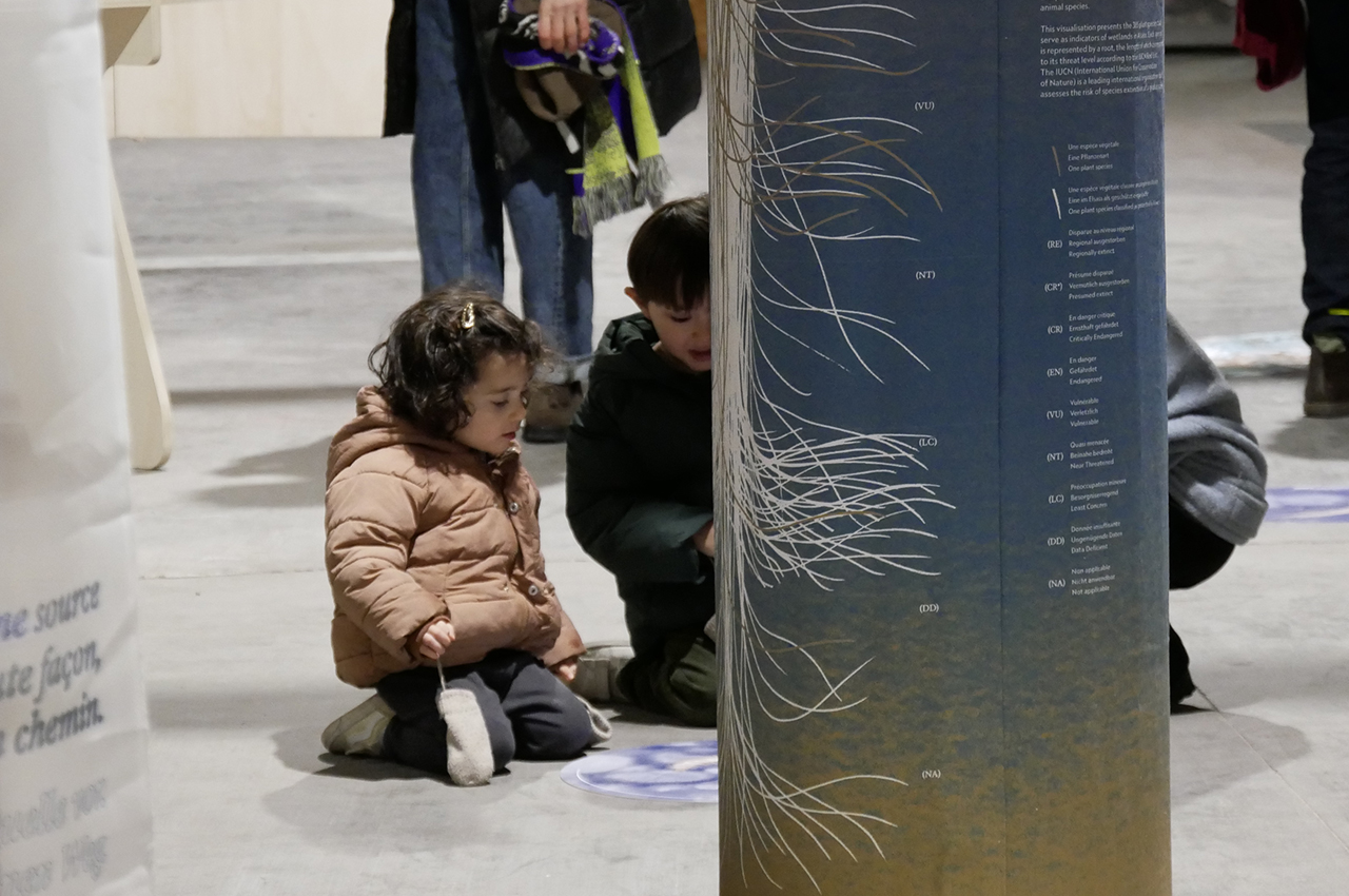 vernissage_surface_14