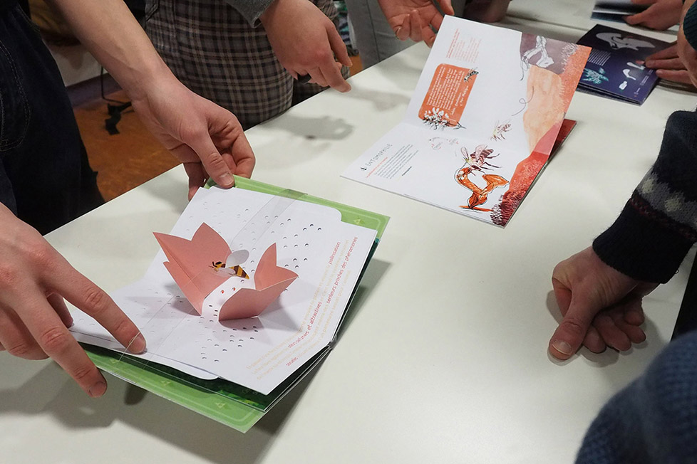 rendu_pop_up11 rendu_pop_up11