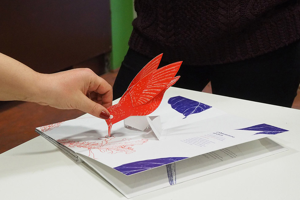 rendu_pop_up15 rendu_pop_up15
