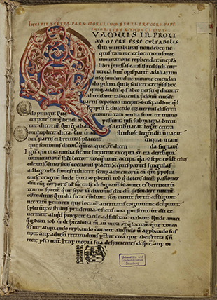 12-tampons_bibliotheque 12-tampons_bibliotheque