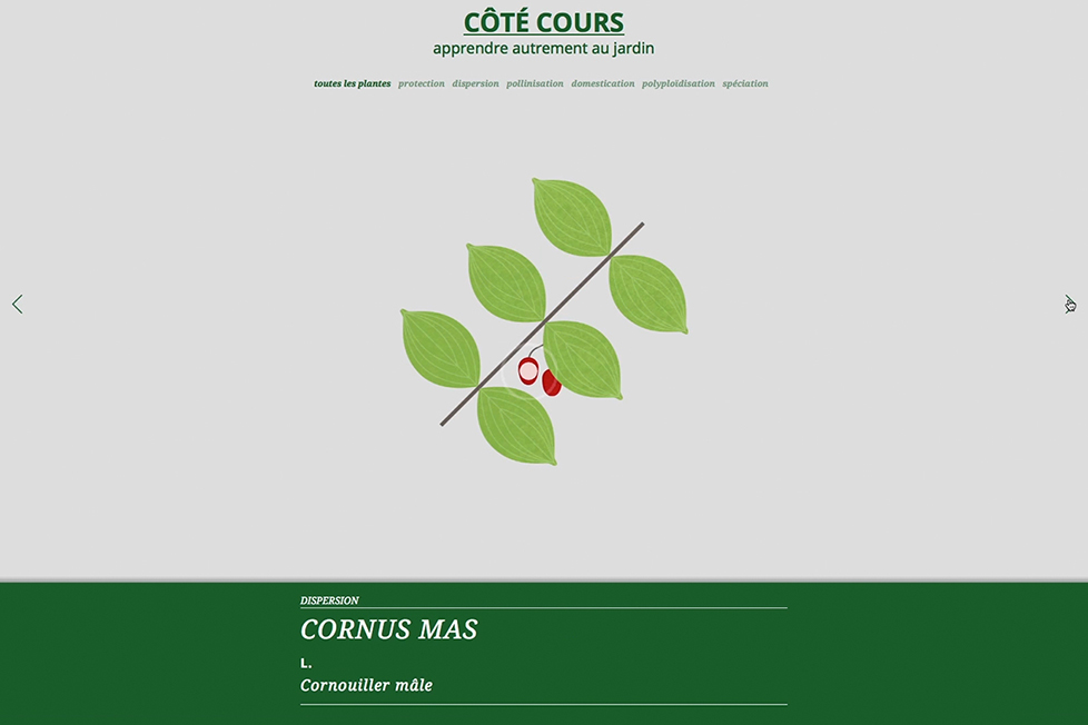 site_internet_cote-cours01
