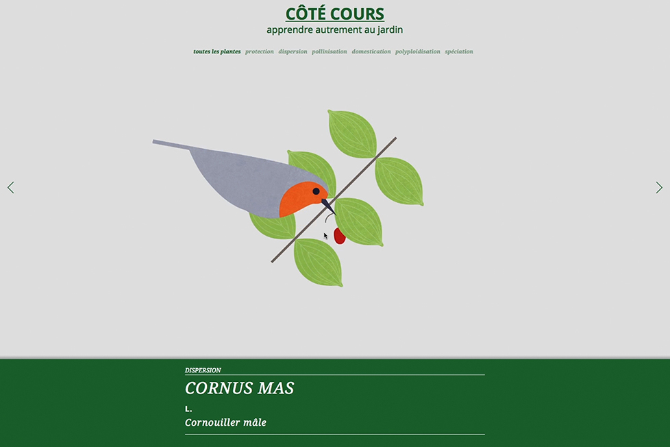 site_internet_cote-cours02
