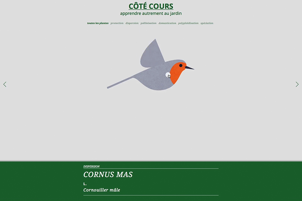 site_internet_cote-cours03