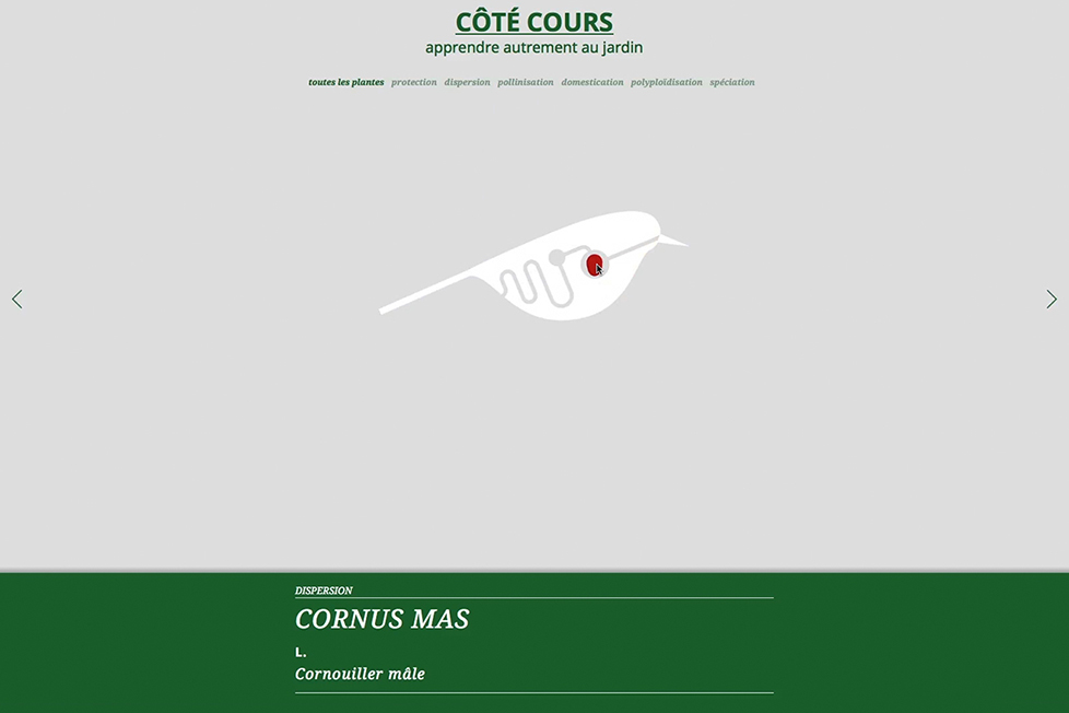 site_internet_cote-cours04