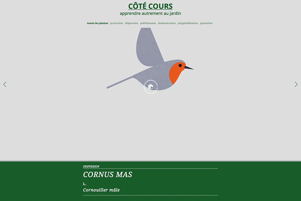 site_internet_cote-cours05
