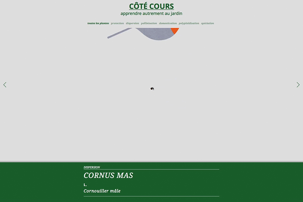 site_internet_cote-cours06