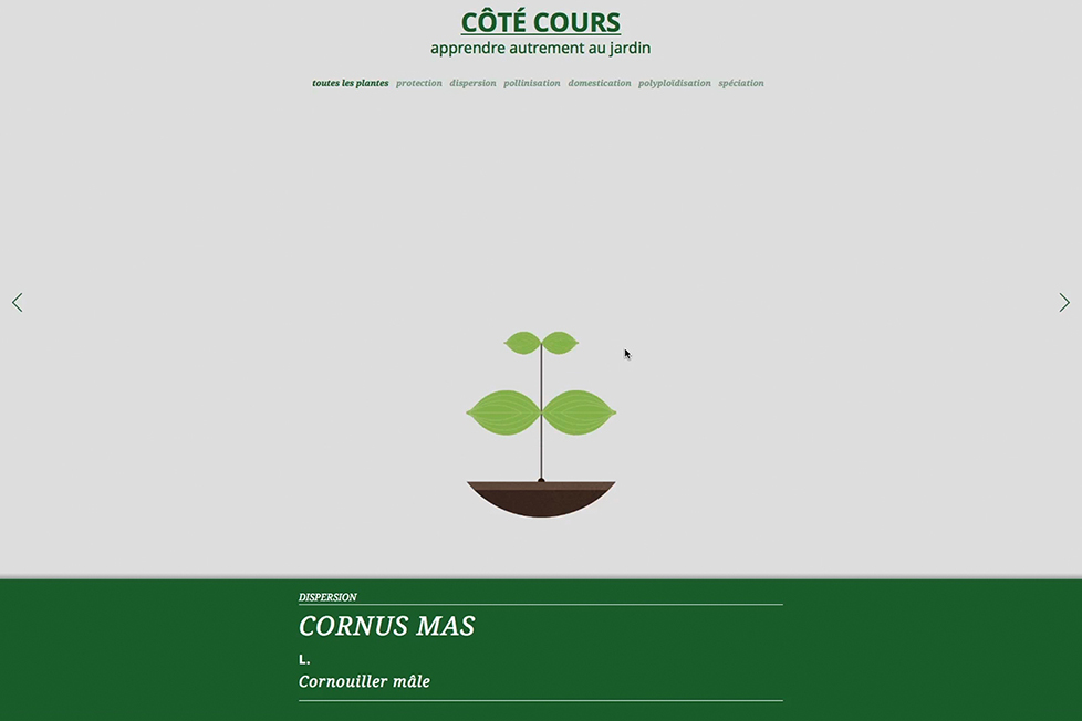 site_internet_cote-cours07