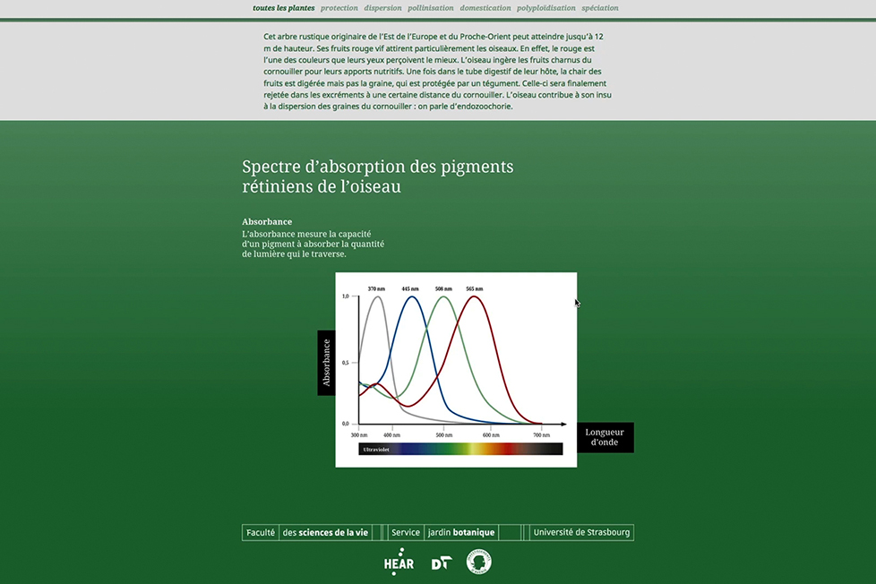 site_internet_cote-cours11