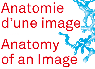 Visuel - Anatomie d’une image|Anatomy of an Image