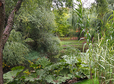 Visuel - Parcours didactique au Jardin botanique|de l’Université de Strasbourg