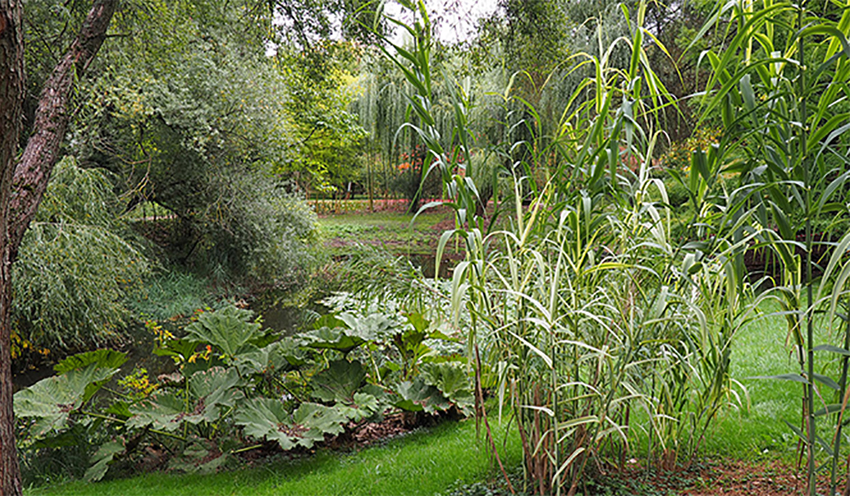 Visuel - Parcours didactique au Jardin botanique|de l’Université de Strasbourg