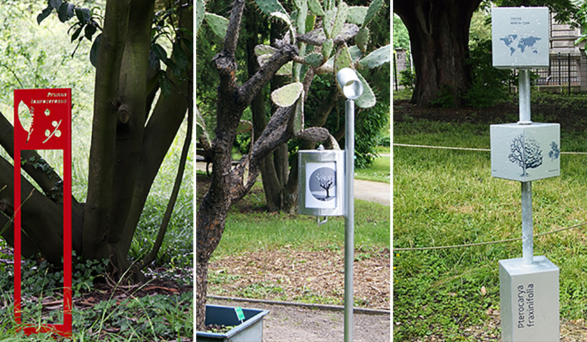 Visuel - Signalétiques didactiques|au Jardin botanique