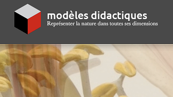 Visuel - Modèles didactiques | www.modeles-didactiques.fr