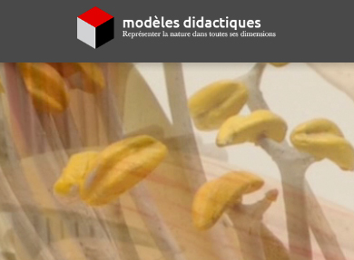 Visuel - Modèles didactiques | www.modeles-didactiques.fr